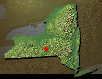 Chenango County Poor House